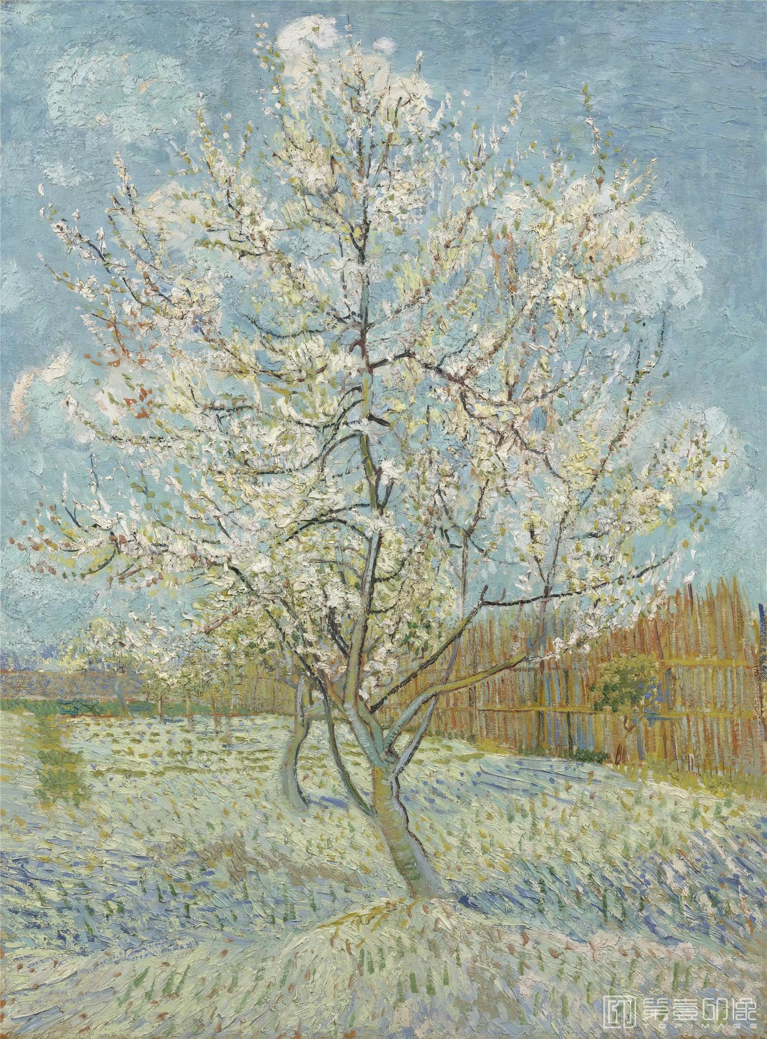 油画-文森特·威廉·梵高 Vincent Willem van Gogh-Peach Tree in Blossom-286